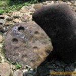 ciaruteun3 ciaruteun3