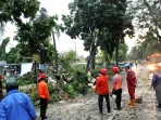 Hujan Lebat Guyur Bogor, Pohon Tumbang dan Banjir Mengancam Hujan Lebat Guyur Bogor, Pohon Tumbang dan Banjir Mengancam