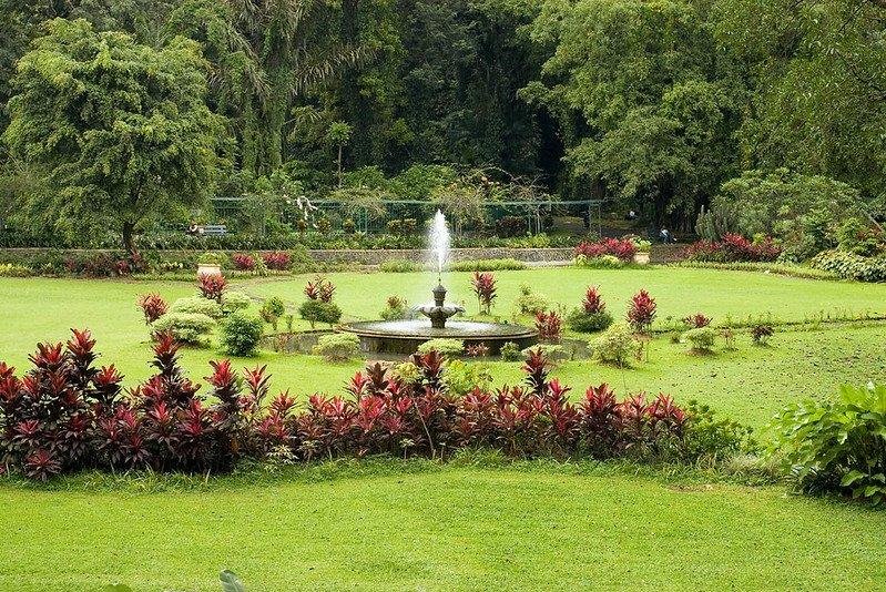 Tempat Wisata Populer di Bogor untuk Liburan Natal dan Tahun Baru 2026