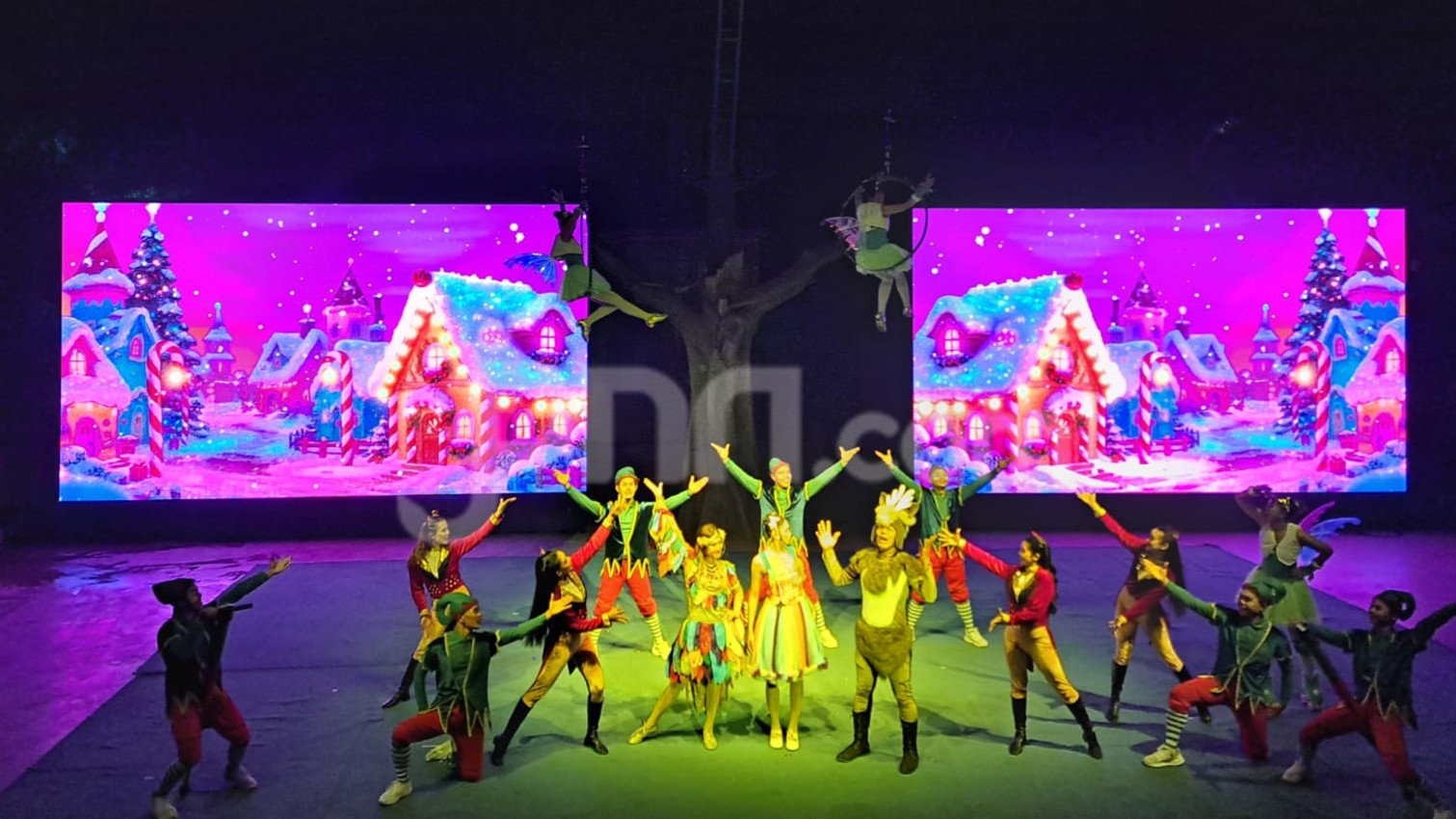 Taman Safari Bogor Rilis Program Safari Malam “Rimba Warna” untuk Libur Nataru 2026