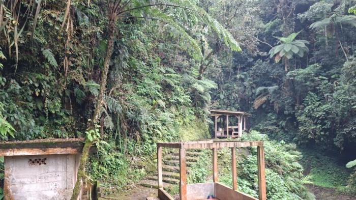 Curug Goa Lumut Bogor: Air Terjun Mini dengan Tebing Lumut yang Menakjubkan