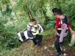 Kronologi mobil wisatawan terjun ke jurang di Puncak Bogor, sopir kalahkan tanjakan tajam Kronologi mobil wisatawan terjun ke jurang di Puncak Bogor, sopir kalahkan tanjakan tajam